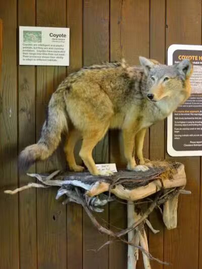 Brecksville Nature Center - Brecksville, OH