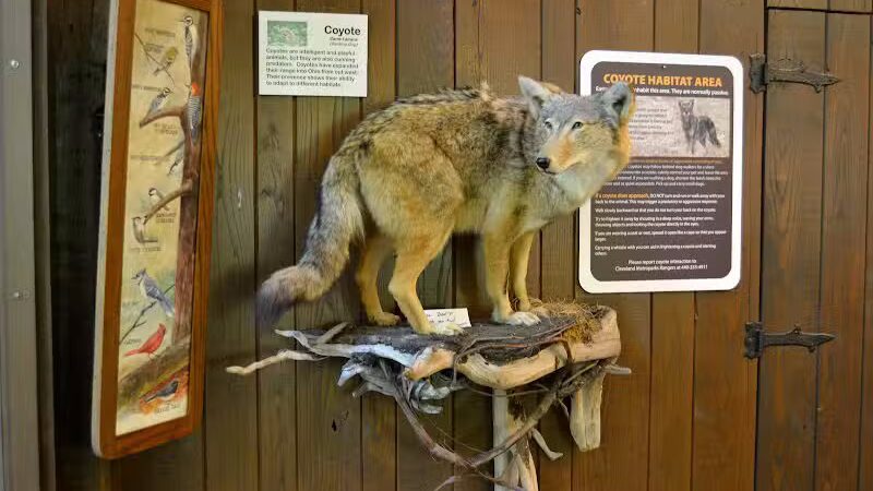 Brecksville Nature Center - Brecksville, OH