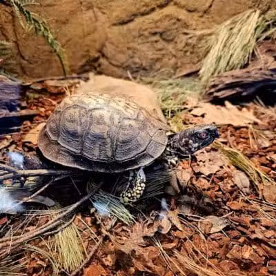 Brecksville Nature Center - Brecksville, OH