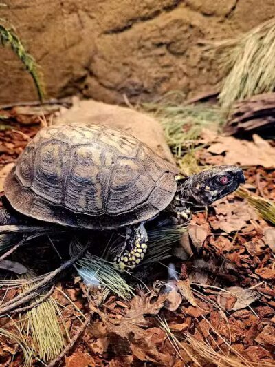 Brecksville Nature Center - Brecksville, OH