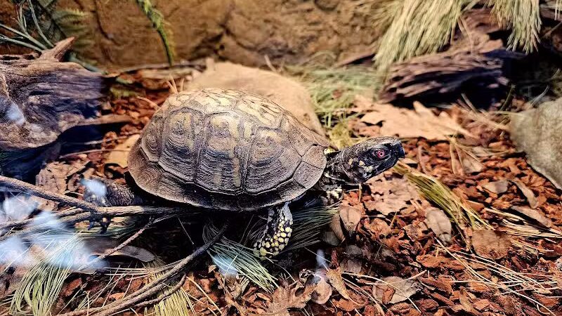 Brecksville Nature Center - Brecksville, OH