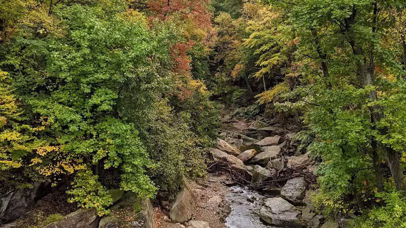 Brecksville Reservation - Brecksville, OH