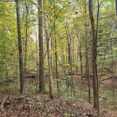 Brecksville Reservation - Brecksville, OH