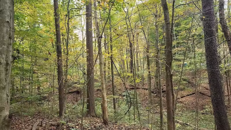 Brecksville Reservation - Brecksville, OH