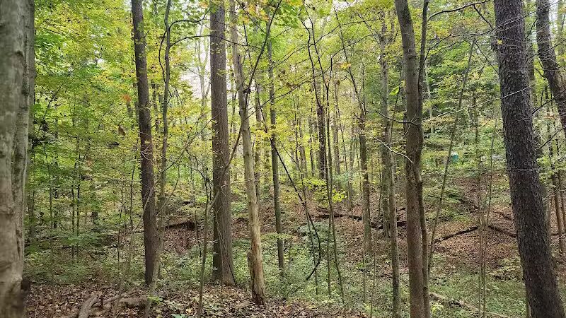 Brecksville Reservation - Brecksville, OH