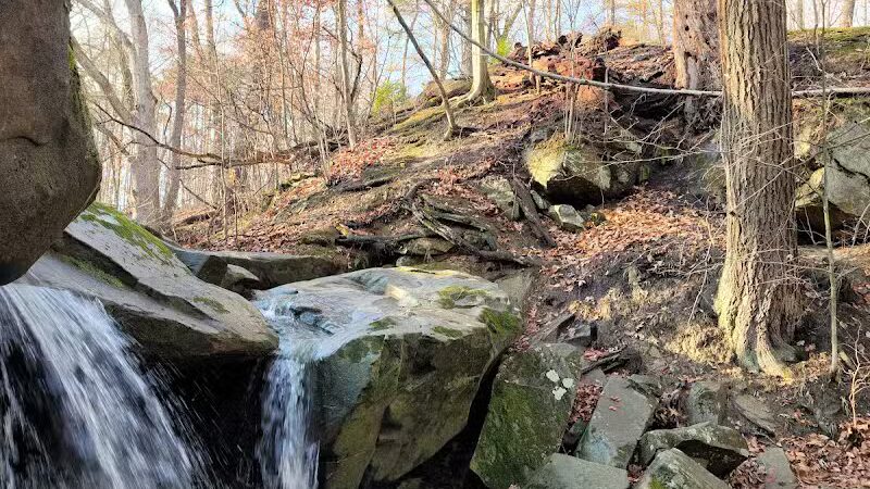 Brecksville Reservation - Brecksville, OH