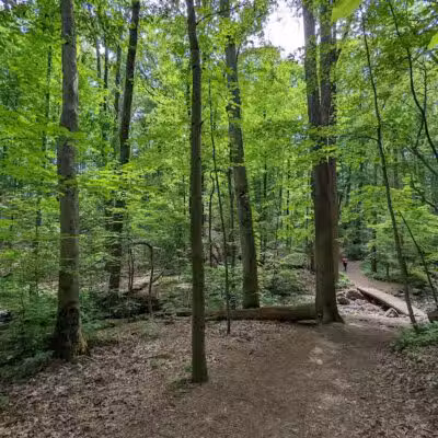 Brecksville Reservation - Brecksville, OH
