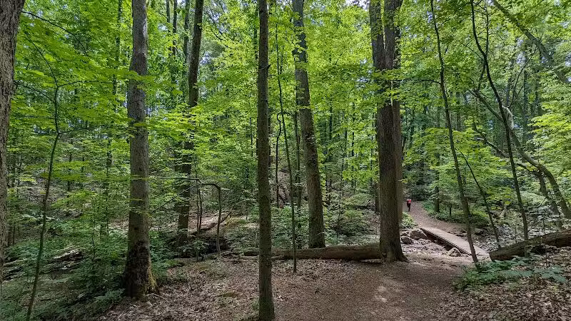 Brecksville Reservation - Brecksville, OH