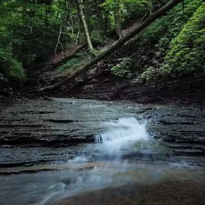 Brecksville Reservation - Brecksville, OH
