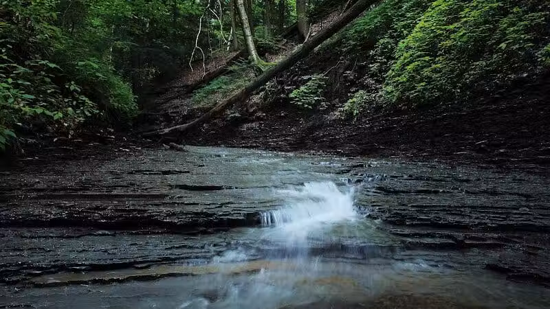 Brecksville Reservation - Brecksville, OH