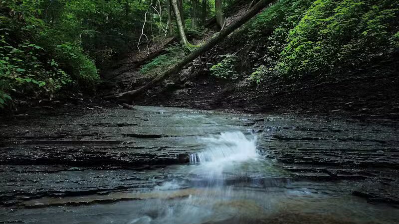 Brecksville Reservation - Brecksville, OH