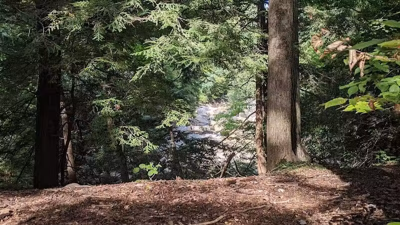 Chippewa Creek Gorge Scenic Overlook - Brecksville, OH