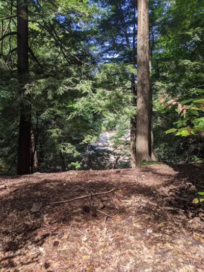 Chippewa Creek Gorge Scenic Overlook - Brecksville, OH