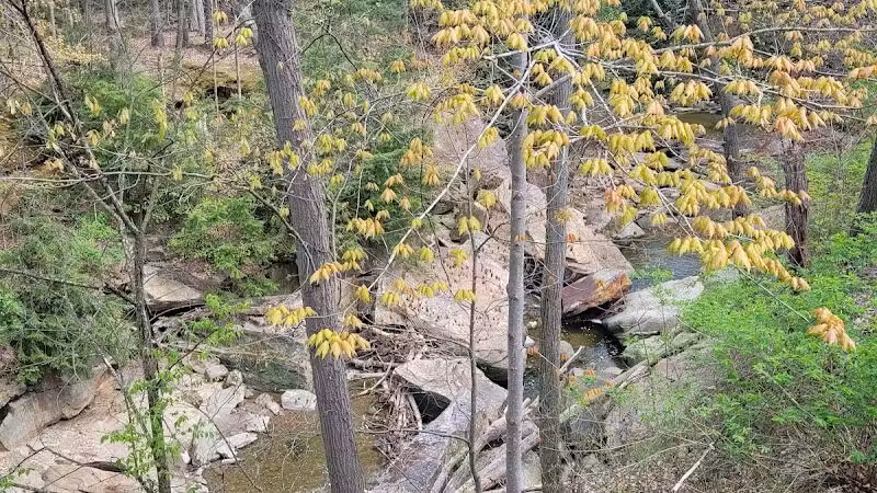 Chippewa Creek Gorge Scenic Overlook - Brecksville, OH