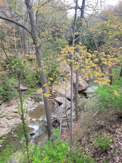 Chippewa Creek Gorge Scenic Overlook - Brecksville, OH