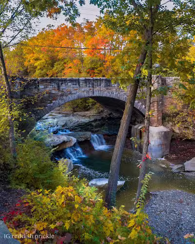 Chippewa Creek Gorge Scenic Overlook - Brecksville, OH