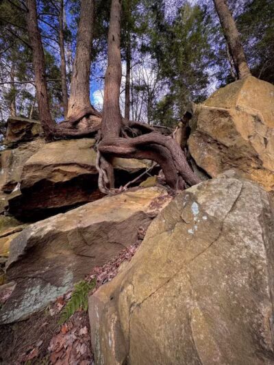 Gorge Loop - Brecksville, OH