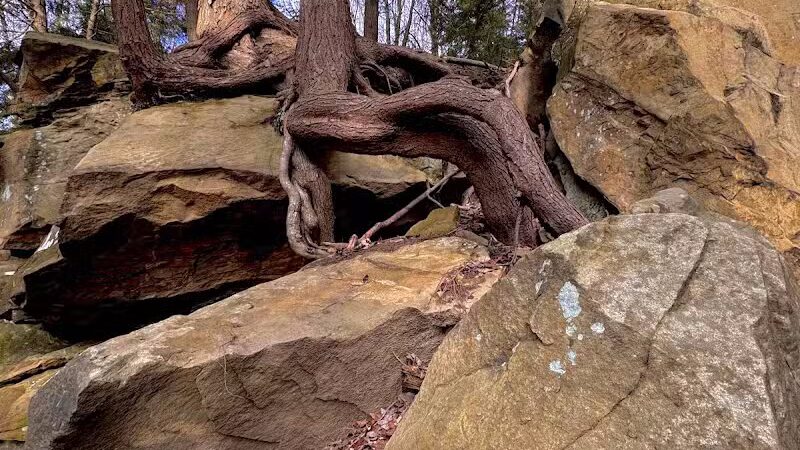 Gorge Loop - Brecksville, OH