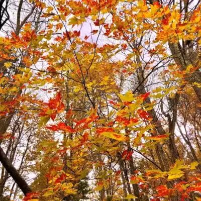 Harriet Keeler Memorial Picnic Area - Brecksville, OH