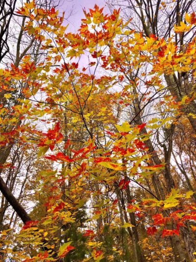 Harriet Keeler Memorial Picnic Area - Brecksville, OH