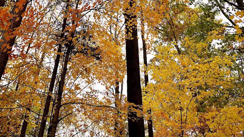 Harriet Keeler Memorial Picnic Area - Brecksville, OH