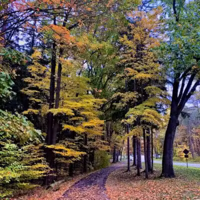 Harriet Keeler Memorial Picnic Area - Brecksville, OH