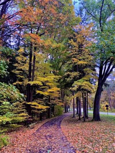 Harriet Keeler Memorial Picnic Area - Brecksville, OH