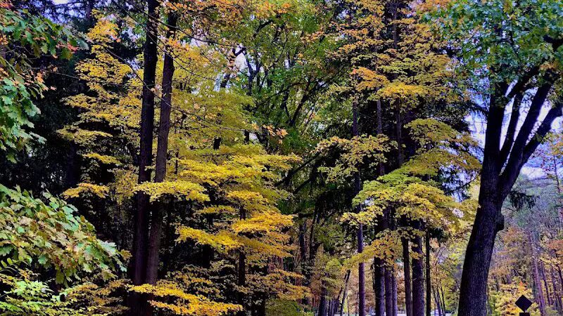 Harriet Keeler Memorial Picnic Area - Brecksville, OH