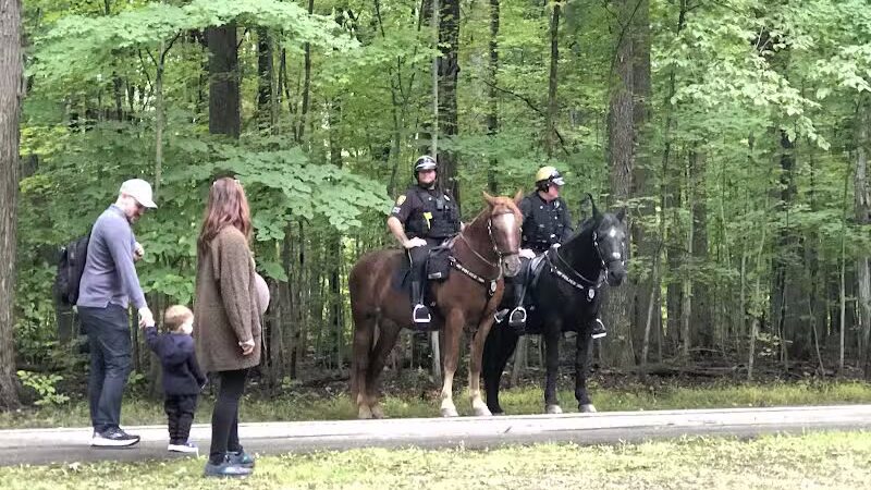Meadows Picnic Area - Brecksville, OH