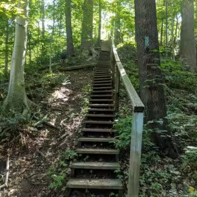 Oak Grove Picnic Area - Brecksville, OH