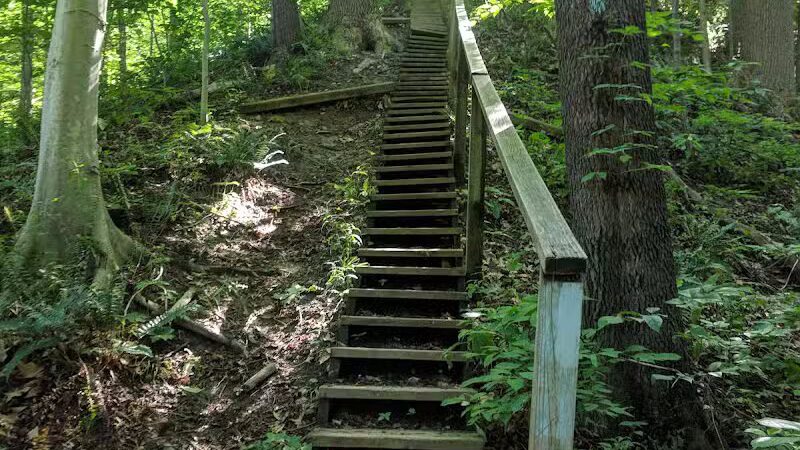 Oak Grove Picnic Area - Brecksville, OH