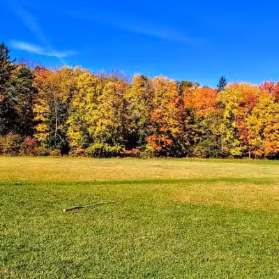 Oak Grove Picnic Area - Brecksville, OH