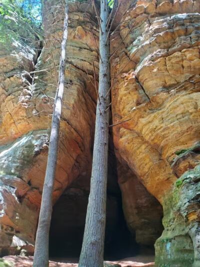 Dogwood Lane Kennels - Bremen, OH