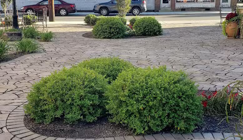 Dowling Park - Bremen, OH