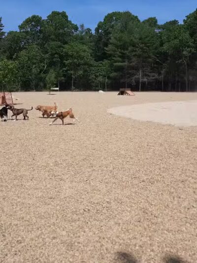Brewster Dog Park - Brewster, MA