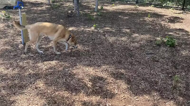 Brewster Dog Park - Brewster, MA