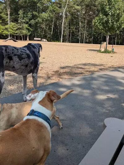 Brewster Dog Park - Brewster, MA