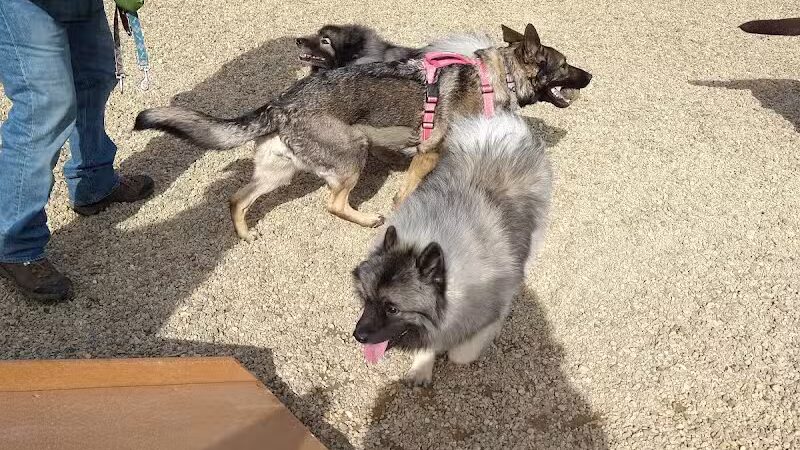 Brewster Dog Park - Brewster, MA