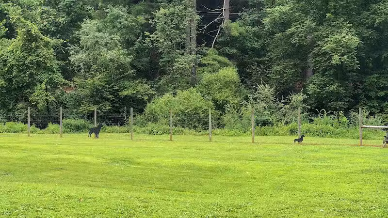 Bridgeport Bark Park - Bridgeport, WV