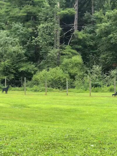 Bridgeport Bark Park - Bridgeport, WV