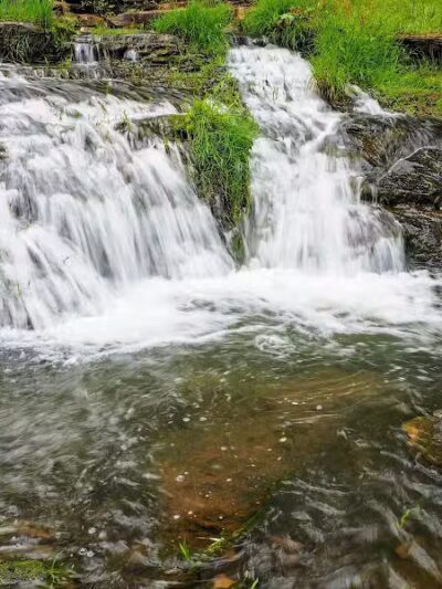 Bridgeport Bark Park - Bridgeport, WV