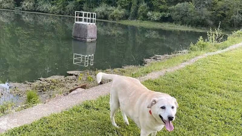 Bridgeport Bark Park - Bridgeport, WV