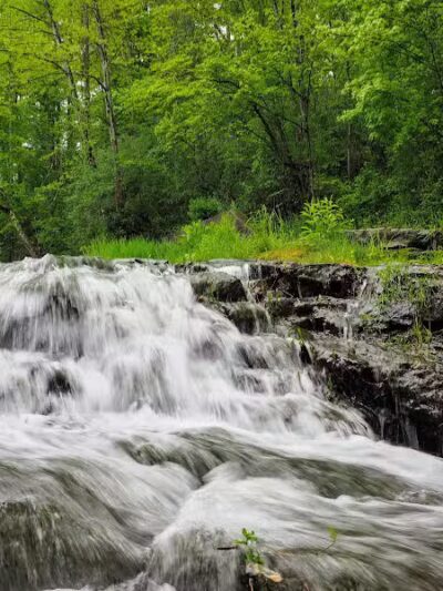 Bridgeport Bark Park - Bridgeport, WV