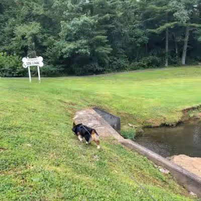 Bridgeport Bark Park - Bridgeport, WV