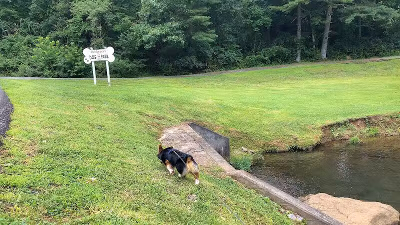 Bridgeport Bark Park - Bridgeport, WV