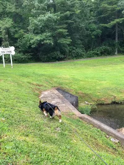 Bridgeport Bark Park - Bridgeport, WV