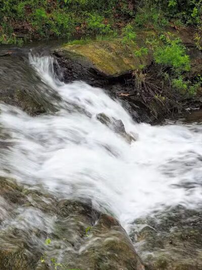 Bridgeport Bark Park - Bridgeport, WV