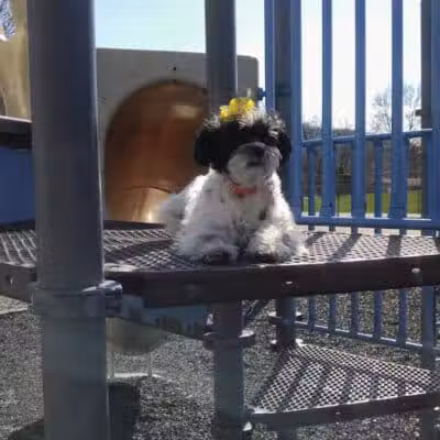 Brilliant Community Park - Brilliant, OH