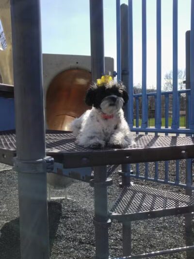Brilliant Community Park - Brilliant, OH