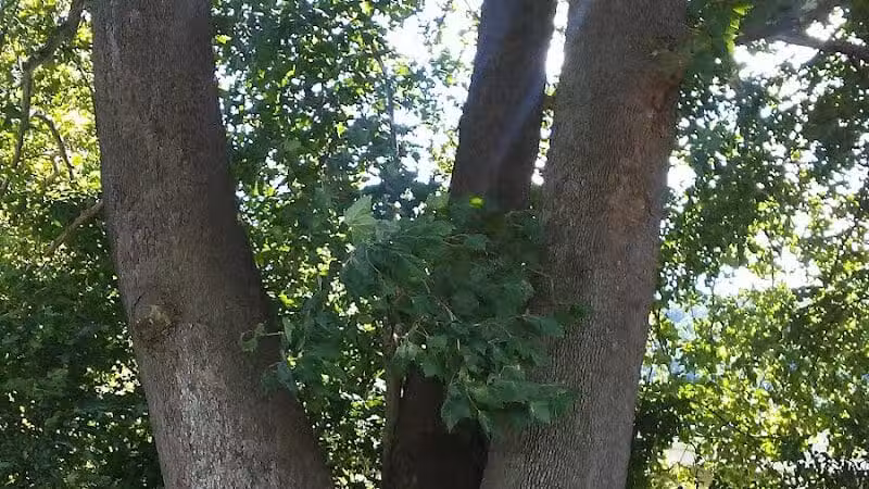 Brilliant Community Park - Brilliant, OH